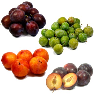 Panier de prunes personnalisé